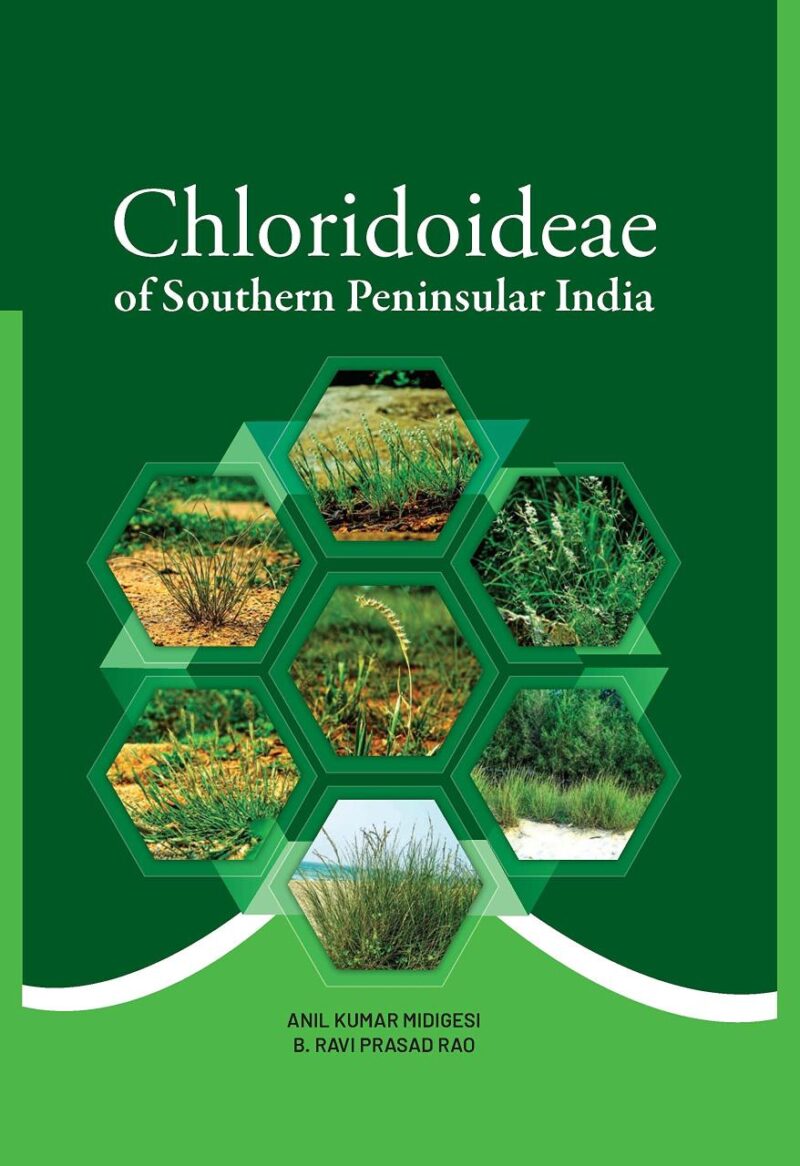 Chloridoideae of Southern Peninsular India
