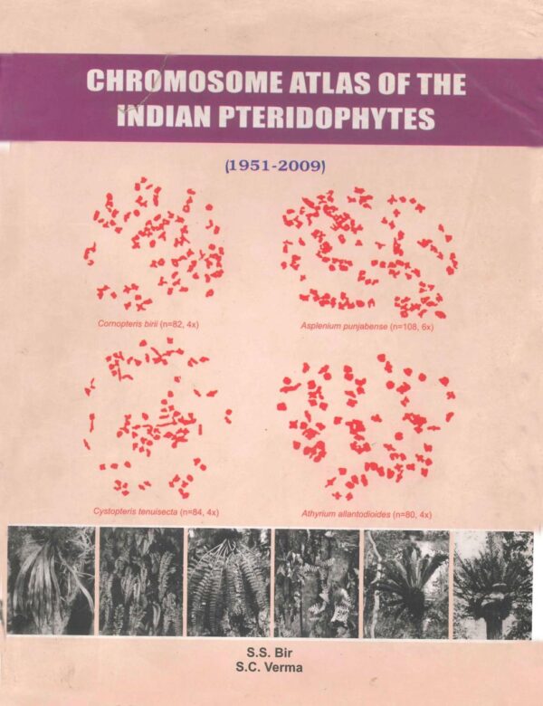 Chromosome Atlas of the Indian Pteridophytes 1951-2009