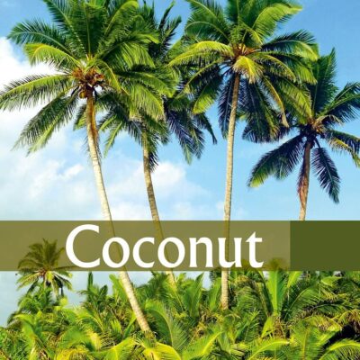 Coconut