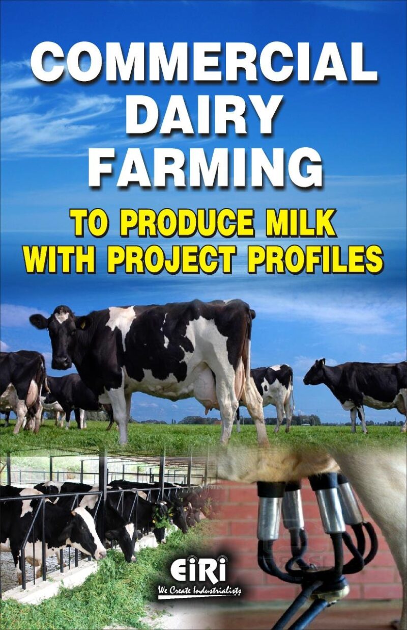 Commercial Dairy Farming to Produce Milk with Project Profiles