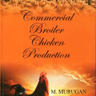 Commercial Broiler Chicken Production