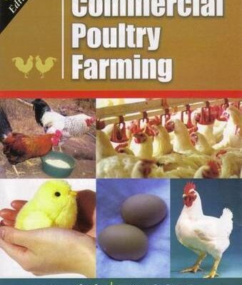 Commercial Poultry Farming 6th edn