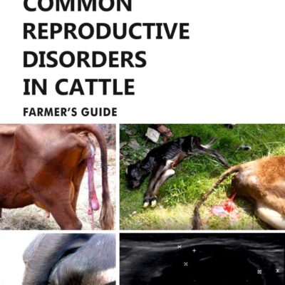 Common Reproductive Disorders in Cattle: Farmer's Guide