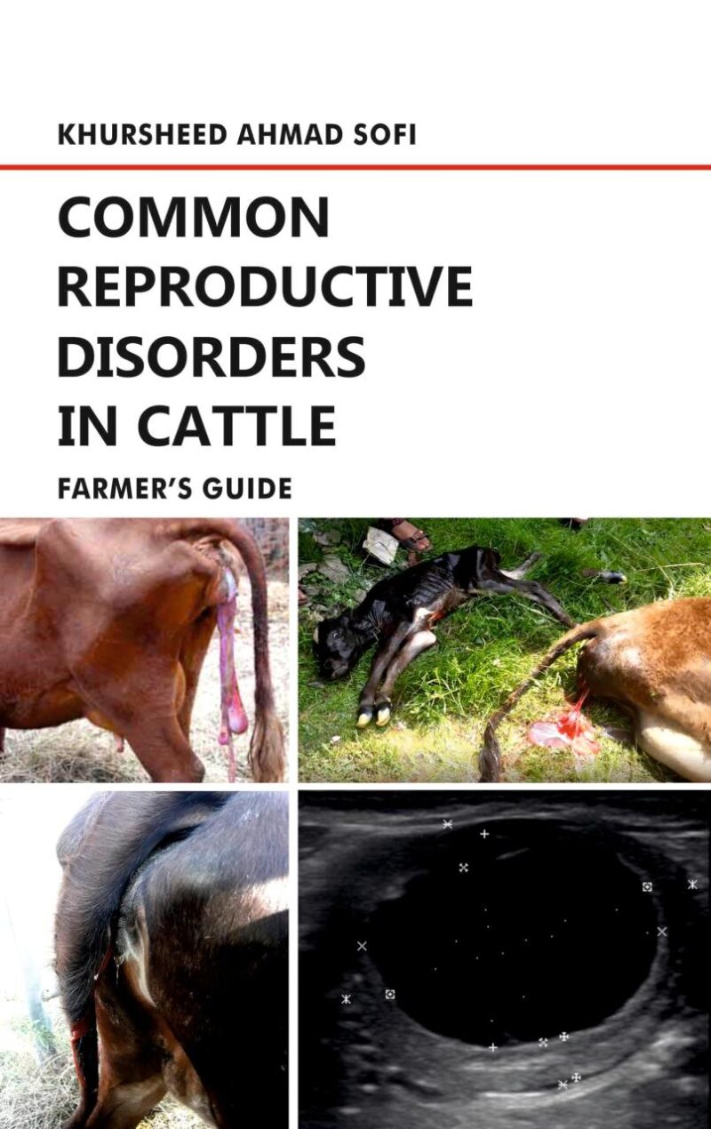 Common Reproductive Disorders in Cattle: Farmer's Guide