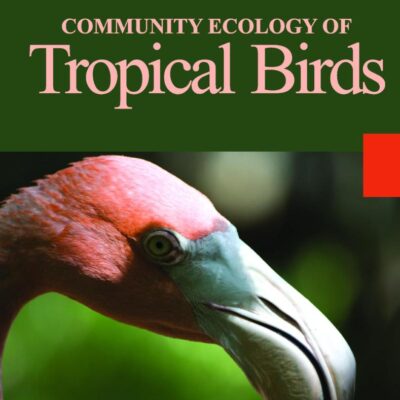 Community Ecology of Tropical Birds