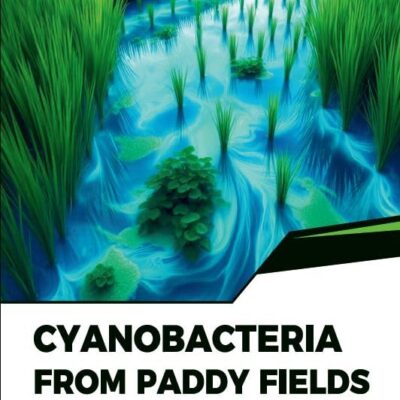 Cyanobacteria from Paddy Field