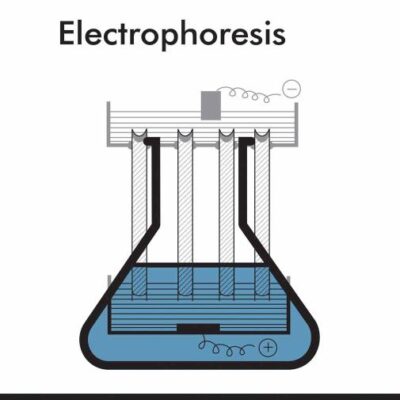 Electrophoresis