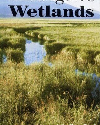 Endangered Wetlands