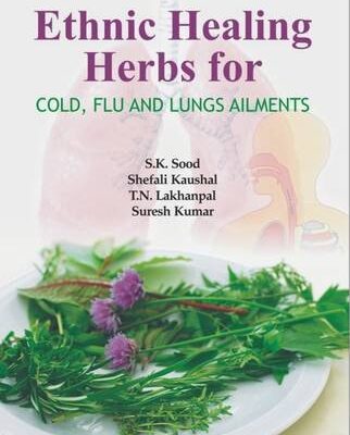 Ethnic Healing Herbs for Cold