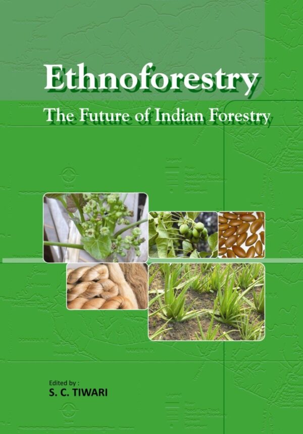 Ethnoforestry The Future Of Indian Forestry