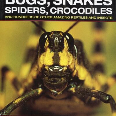 Explore The Deadly World Of Bugs
