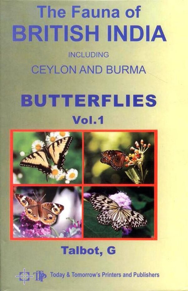 Lepidoptera Butterflies