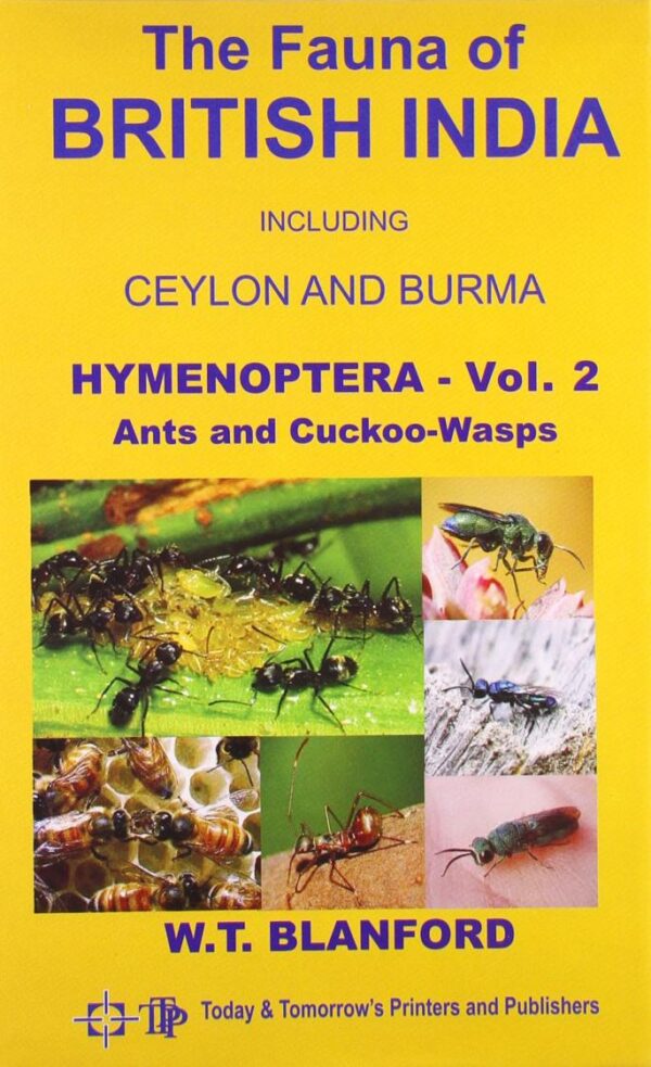 Hymenoptera