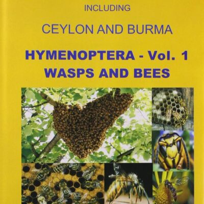 Hymenoptera