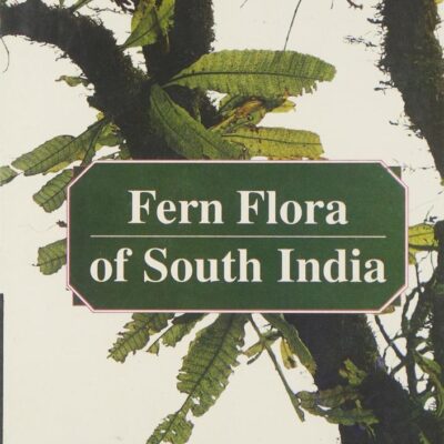 Fern Flora of South India: Taxonomic Revision of Polypodioid Ferns