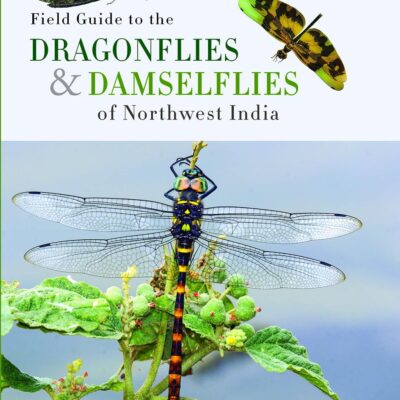 Field Guide to the Dragonflies and Damselflies of North West India (PB)
