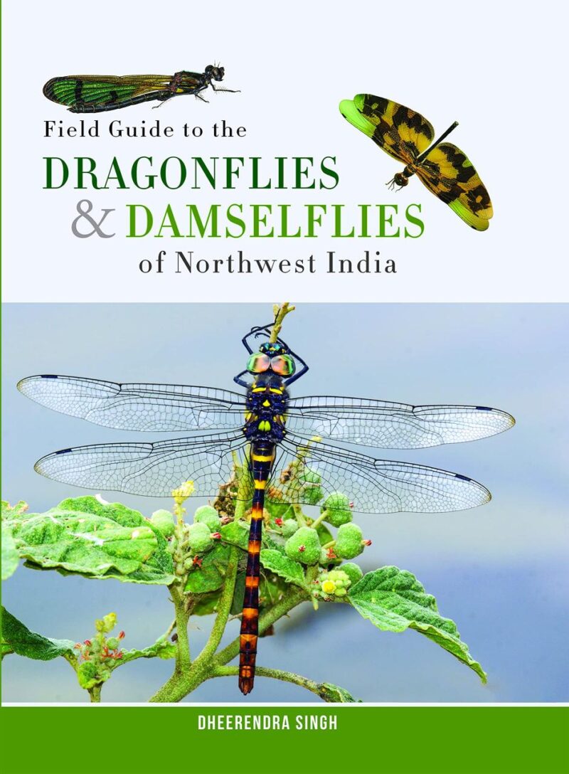 Field Guide to the Dragonflies and Damselflies of North West India (PB)