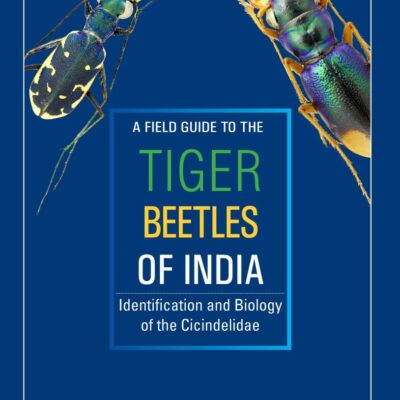 Field Guide to the Tiger Beetles of India: Identification and BIology of the Cicindelidae (PB)