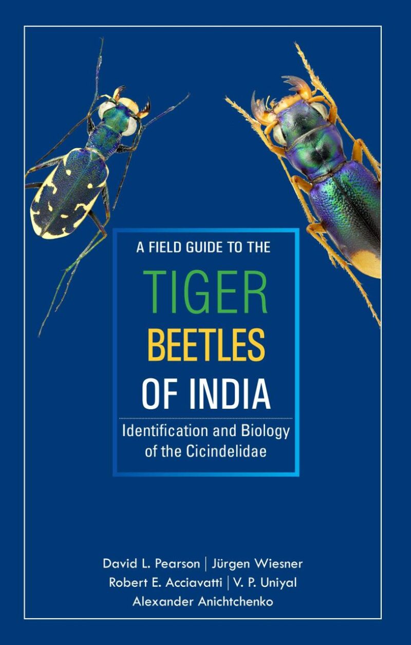 Field Guide to the Tiger Beetles of India: Identification and BIology of the Cicindelidae (PB)