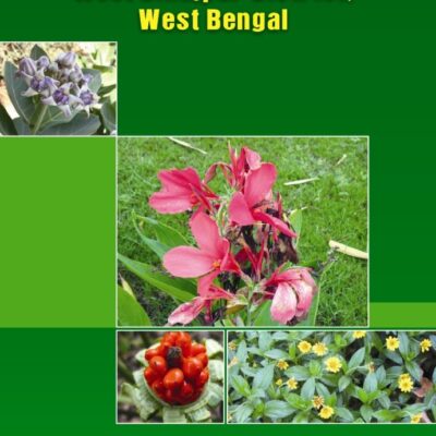 Flora and Ethnobotany of West Dinapur District
