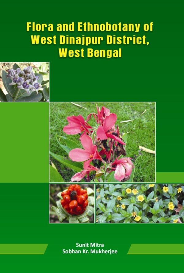 Flora and Ethnobotany of West Dinapur District