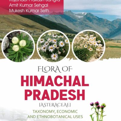 Flora of Himachal Pradesh [Asteraceae]: Taxonomy