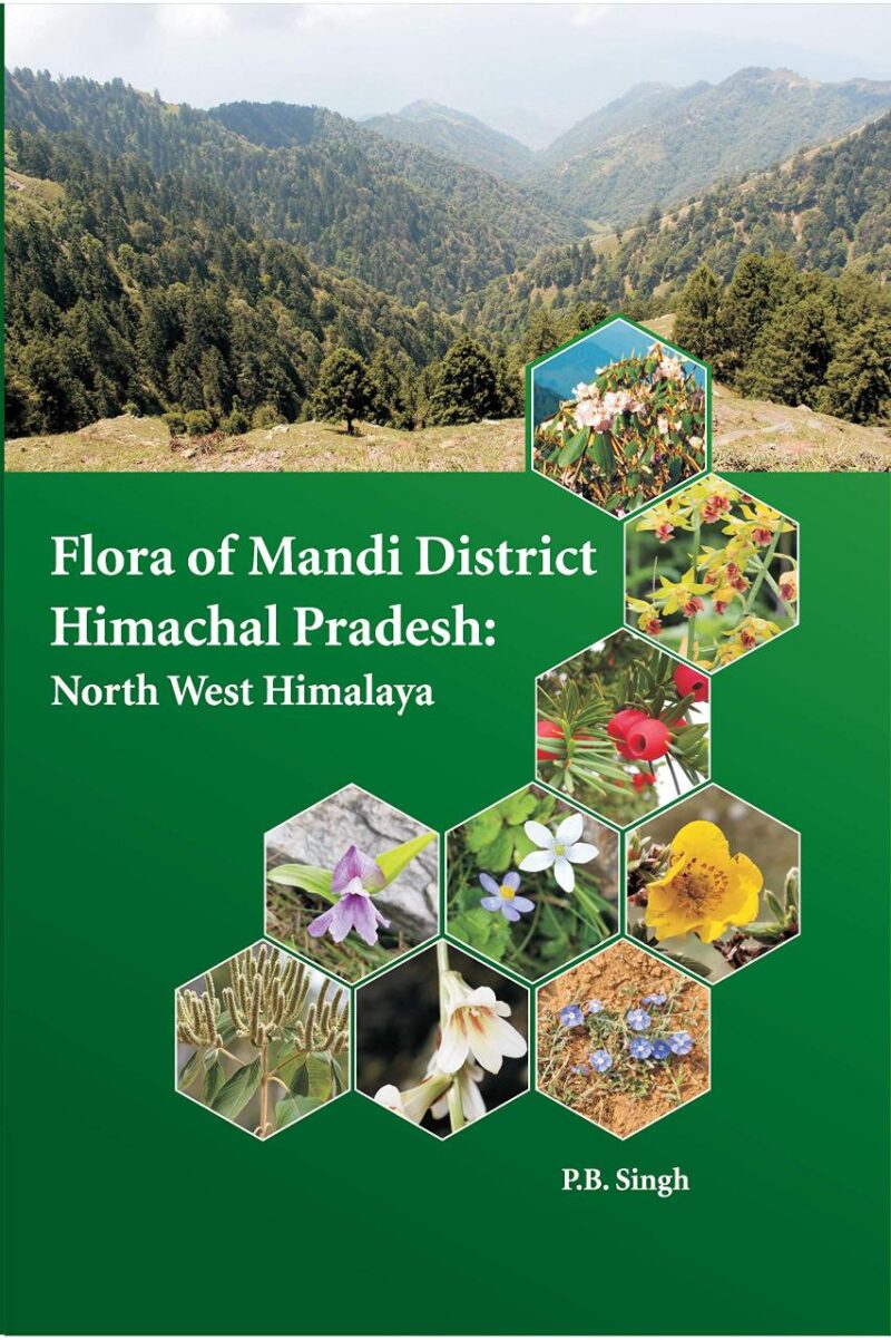 Flora of Mandi district Himachal Pradesh: North West Himalaya
