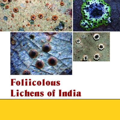 Foliicolous Lichens of India