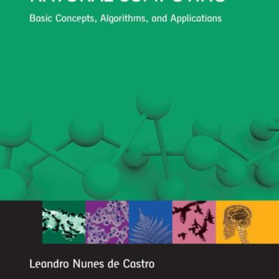 Fundamentals of Natural Computing