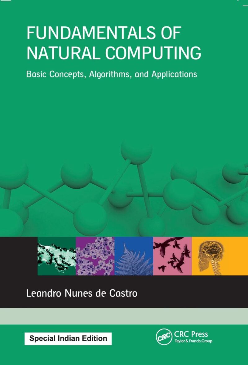 Fundamentals of Natural Computing