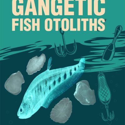 Gangetic Fish Otoliths