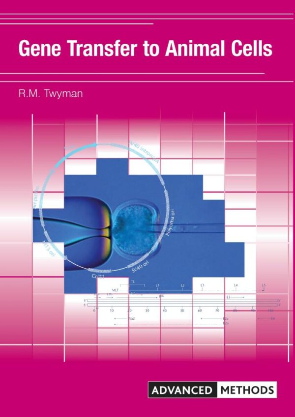 Gene Transfer to Animal Cells (Advanced Methods)