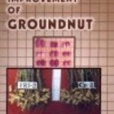Genetic Improvement of Groundnut
