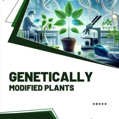 Genetically Modified Plants