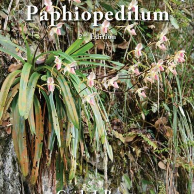 Genus Paphiopedilum 2nd ed