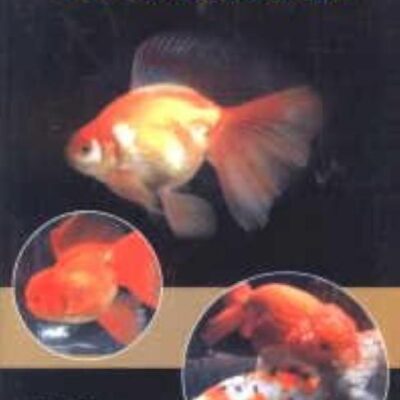 Goldfish: A Comprehensive Guide to Biology