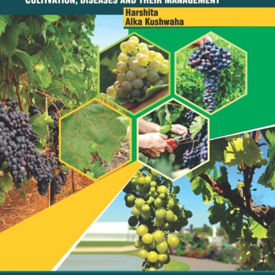 Grapes Cultivation