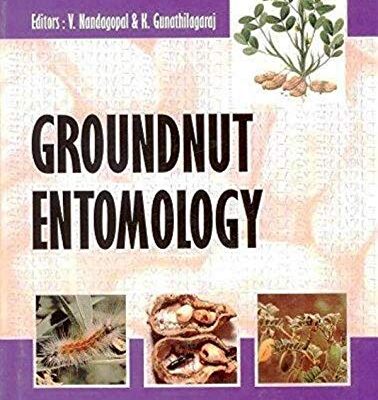Groundnut Entomology