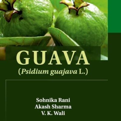 Guava: Psidium Guajava L.