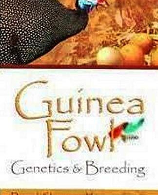 GUINEA FOWL: GENETICS AND BREEDING