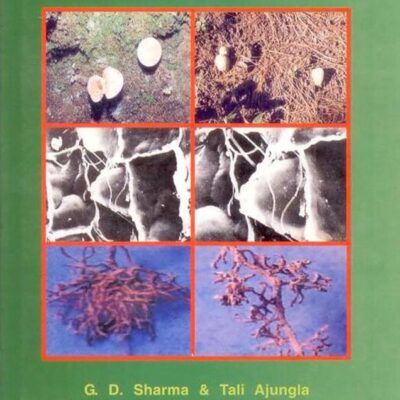 Heavy Metal Pollution and Mycorrhiza