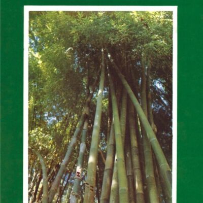 Identification and Classification of Indian Bamboos SEM Atlas of Epidermis
