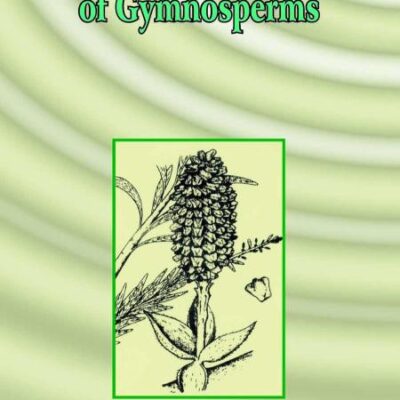 Origin and Evolution of Gymnosperms