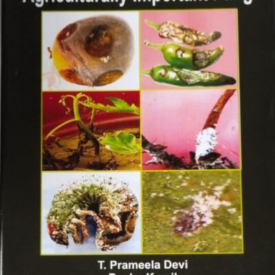 Illustrative Morphology of Agriculturally Important Fungi