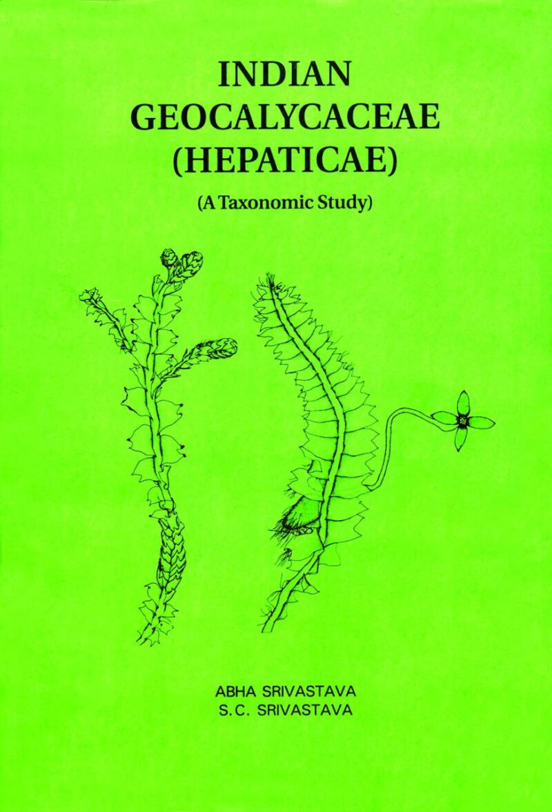 Indian geocalycaceae (hepaticae): A taxonomic study