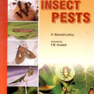 Indian Insect Pests