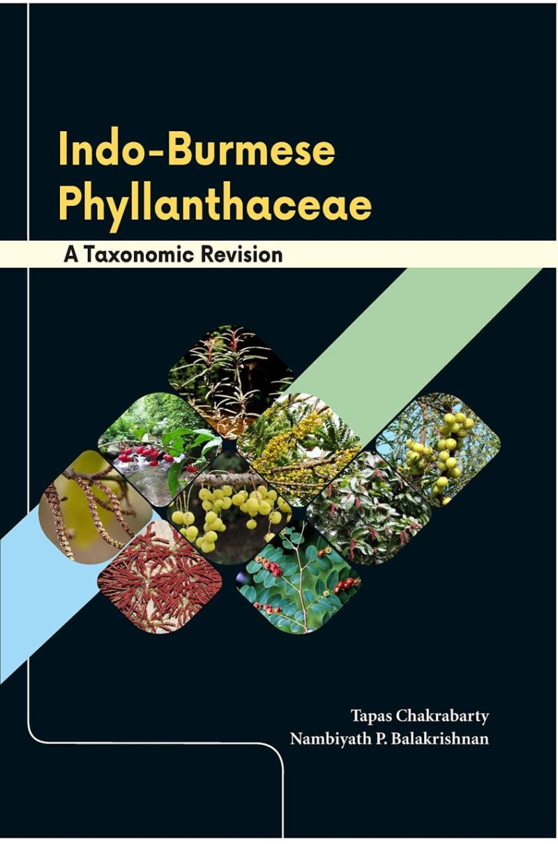 Indo-Burmese Phyllanthaceae : A Taxonomic Revision
