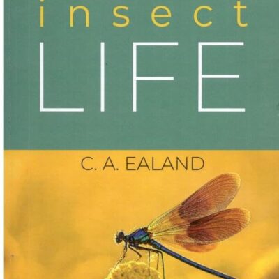 Insect Life