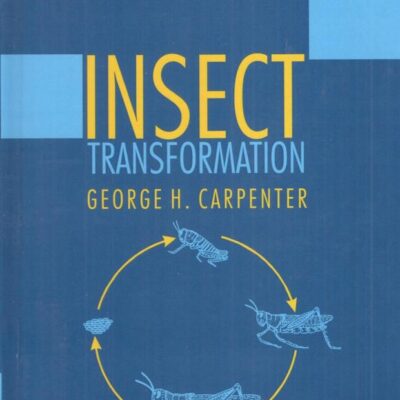 Insect Transformation