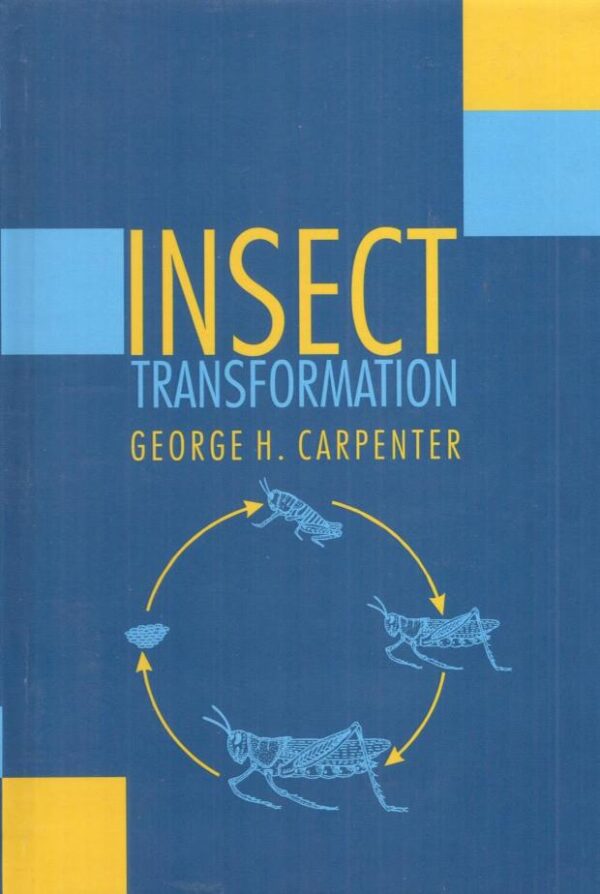 Insect Transformation